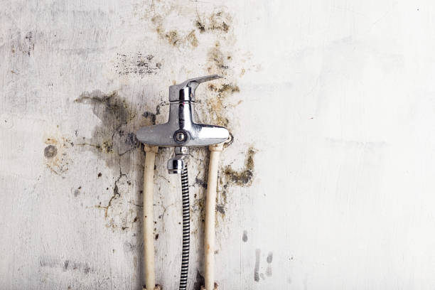 Mold Removal Process in Huntersville, NC