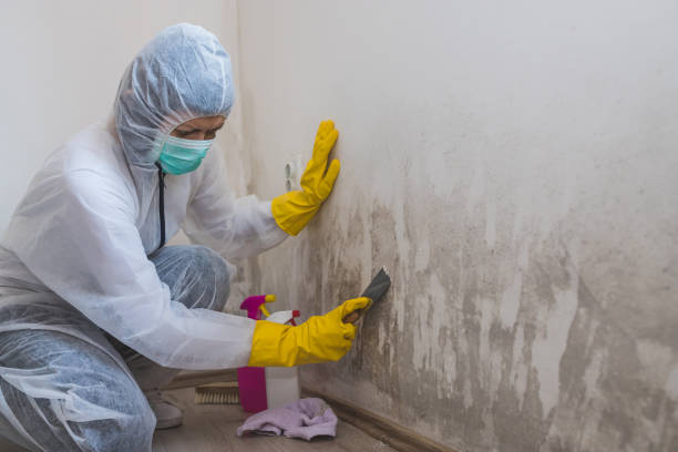 Best Office Mold Removal Services  in Huntersville, NC