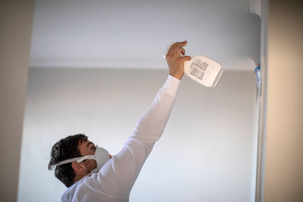 Best Certified Mold Removal  in Huntersville, NC