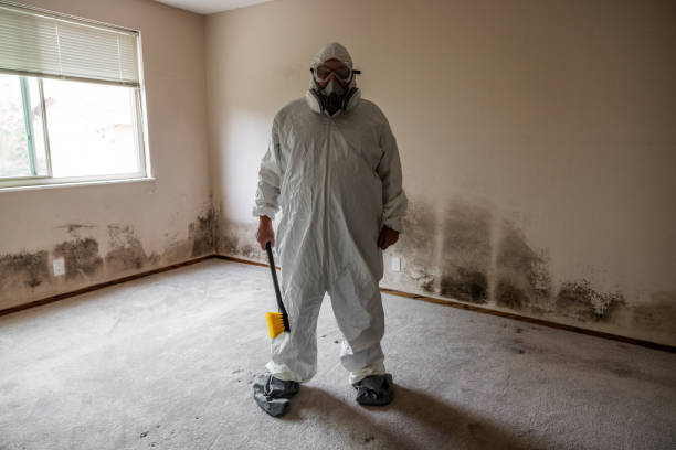 Best Attic Mold Removal  in Huntersville, NC